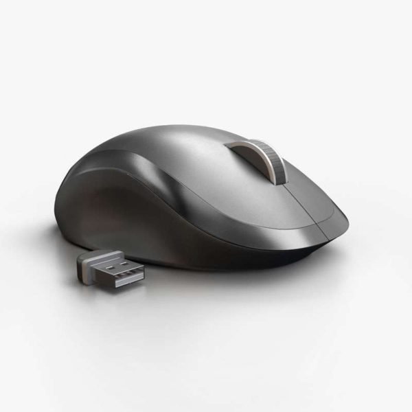 Mouse Anc WM 132 / WM136